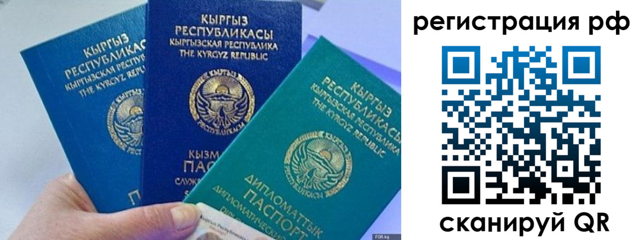 прописка для школы в Тейково
